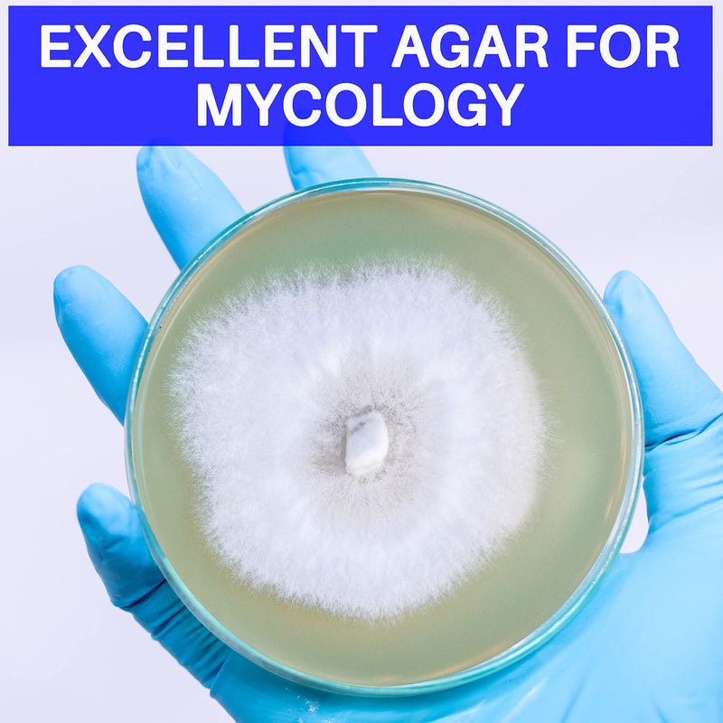 Malt Extract Agar Powder 100 Grams - Evviva Sciences - Make Over 100 Agar Petri Dishes - Premium Performance - Excellent for Mold & Fungus - Great for Mushrooms & Science Projects