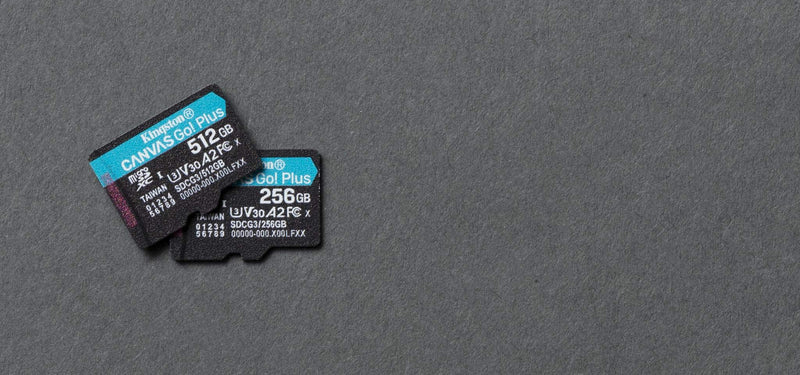 SDCG3/256GBSP microSD Card 256GB Faster (Up to 170 MB/s) without adaptor