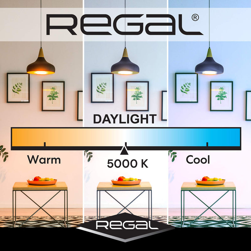 Regal LED A19 Light Bulb 5000K Daylight 800-Lumen, 9-Watt (60-Watt Equivalent), E26 Base, 5000 Kelvin, Day Light, 5-Pack, Non-Dimmable Daylight (5000K) Pack of 5 Bulbs