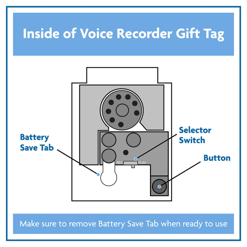 Voice Express 60 Second VoiceGift Voice Recorder Gift Tag for Personal Messages - DIY Gift Personalization