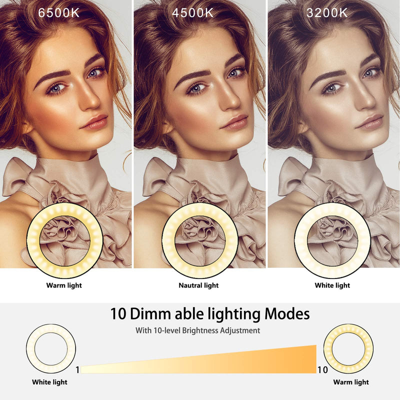 Video Conference Lighting, Foxin 6" Laptop Ring Light, Zoom Lighting for Computer, Zoom Light, Webcam Ring Light with Clip Stand 3 Modes&10 Level Dimmable for Laptop/PC Monitor/Makeup/YouTube/TIK Tok