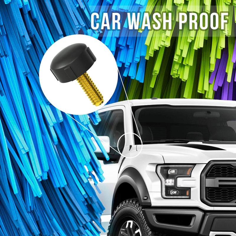 KSaAuto Antenna Delete Compatible with Ford F150 2009-2021-Car Wash Proof-Short and Compact Size Striped cap appearance