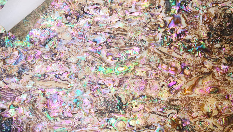 [AUSTRALIA] - Pure Paua Abalone Shell Sheet for Inlay and Overlay with Backside Tape (9.4" x 5.5" x 0.007") 