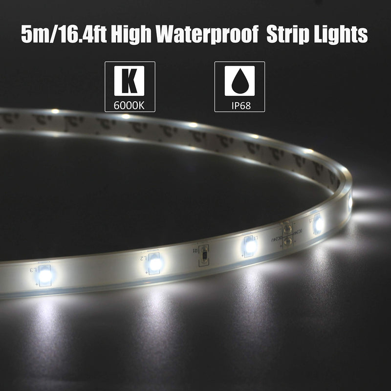 [AUSTRALIA] - LEDMY Flexible Led Strip Lights, Strip Lights, DC 24V 12W SMD3528 150LEDs IP68 Waterproof Under Cabinet Lights Cool White 6000K 5Meter/ 16.4Feet, led Tape Lights Using for Homes, Kitchen Decortation 