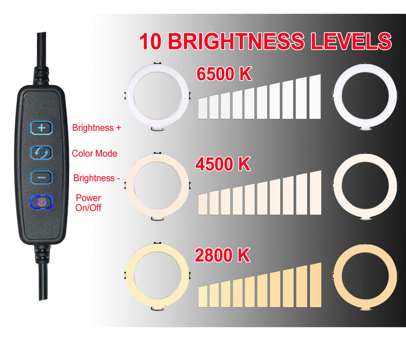 Vidpro RL-8 8" Inch LED Ring Light Kit with Mini Tripod and Ball Head. USB Powered for Portraits, Makeup, Modelling, Vloggers, Macro Photos and YouTube. Variable Color Temperature 2800K 4500K 6500K