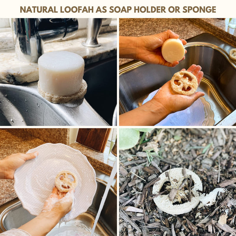 rE: Dish Washing Soap Bars (Loofah holder sponge included) - palm oil free, eco friendly, zero waste, plastic free, free of artificial dyes and fragrance (Assorted) Assorted