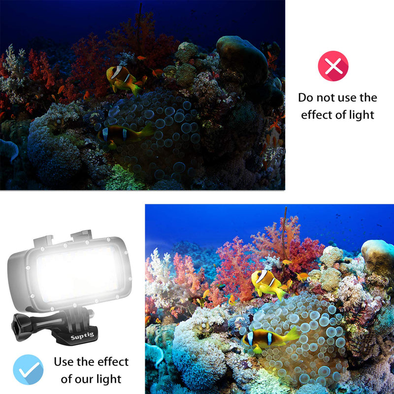 Suptig 30 LED Video Light Waterproof Light Underwater Light Compatible for Gopro Hero 10 Hero 9 Hero 8 Hero 7 Hero 5 Hero 6 Hero 4 and Canon Nikon Sony Olympus SLR Cameras Waterproof 180ft(55m)