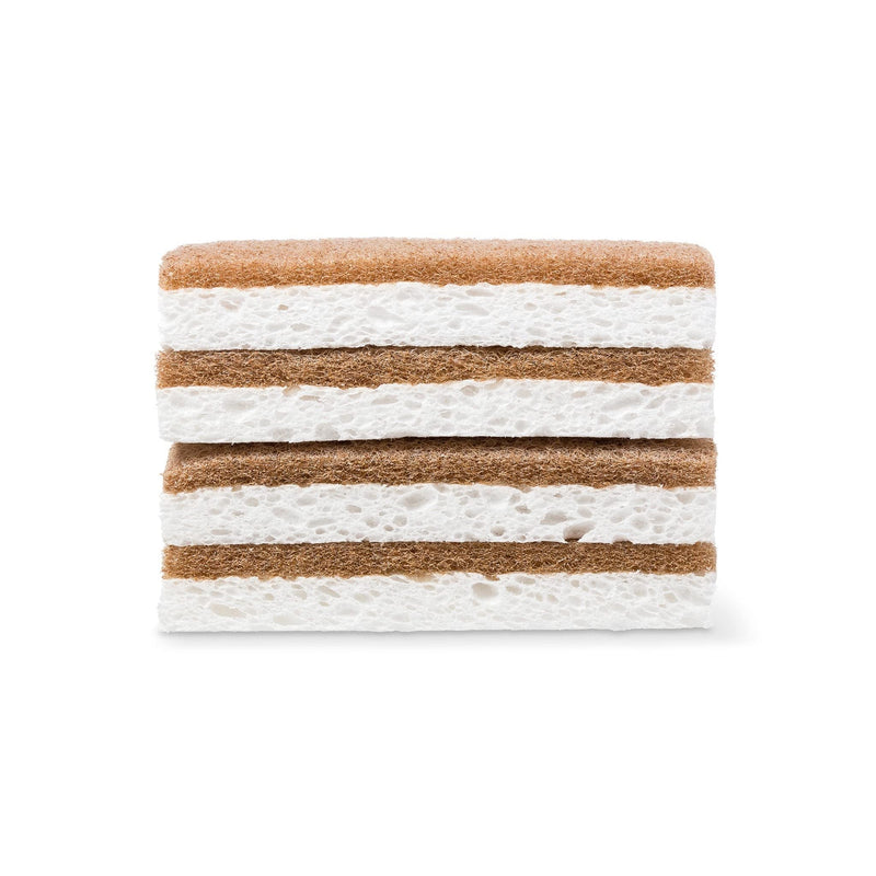 [AUSTRALIA] - Full Circle In a Nutshell Walnut Scrubber Sponges, Non-Scratch, Set of 2 (Pack of 6) 
