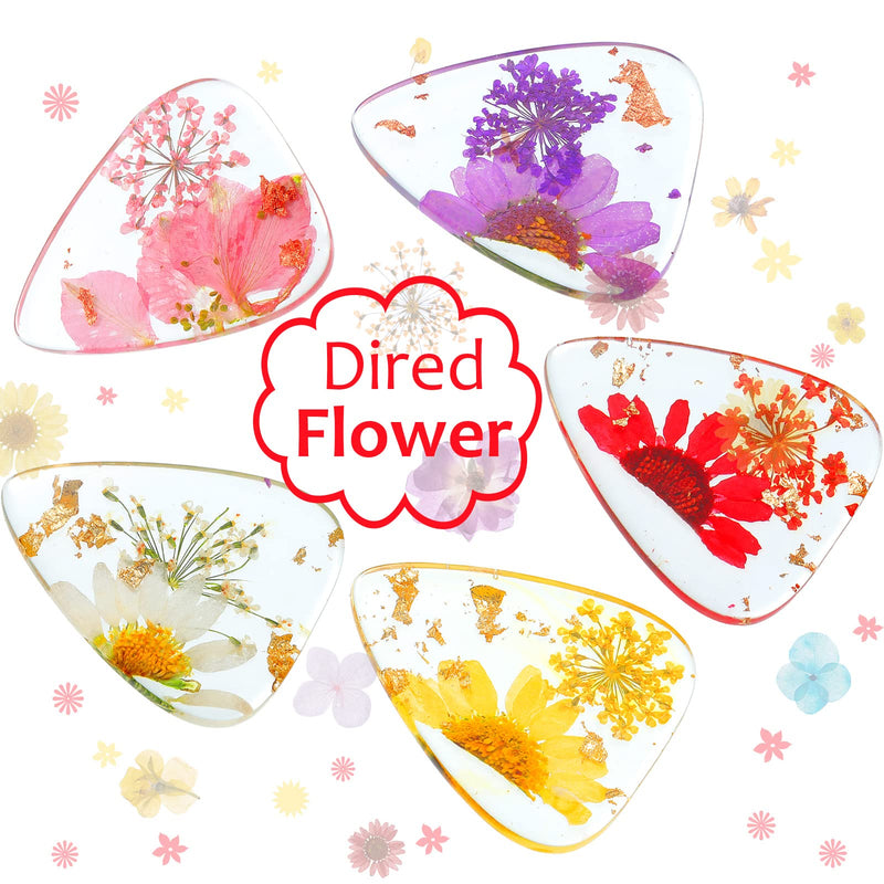 5 Pieces Dried Flower Resin Guitar Picks Plectrums Thin Flower Guitar Picks Stylish Colorful Guitar Plectrums Floral Bass Picks for Electric, Acoustic Guitar Bass Ukulele, 5 Styles