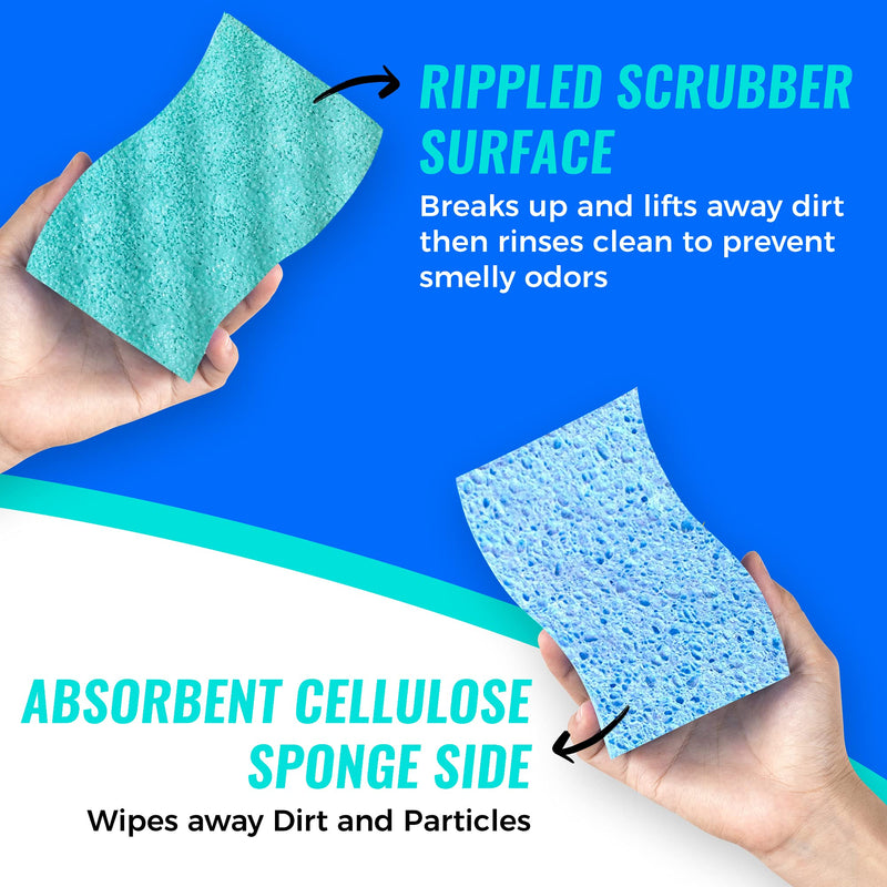 [AUSTRALIA] - SCRUBIT Multi-Use Scrub Sponge – Non-Scratch Kitchen Sponges for Dishes, Pots and Pans - Heavy Duty & Odor Free Rippled Scrubbing Pad, Designed for Tough Cleaning Jobs 12 Count 