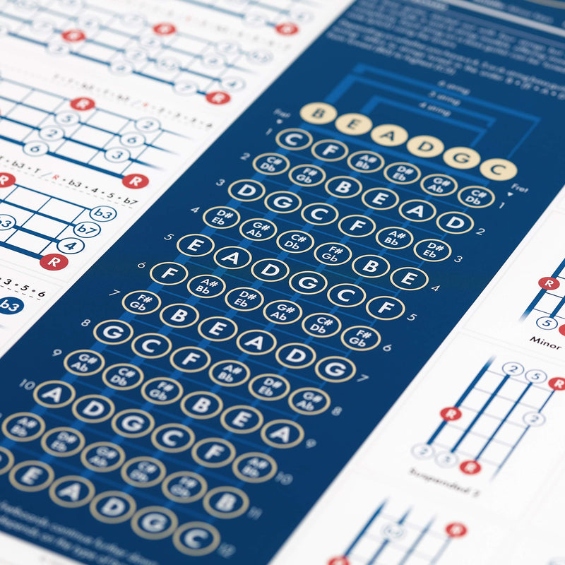 The Really Useful Bass Guitar Poster - Bass Guitar Chords Poster - Illustrated Guitar Chords and Scales - Learn Bass Guitar and Music Theory - Guitar Beginners - A1 Size - Folded Version