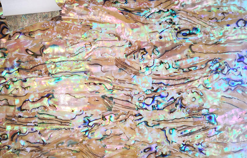 [AUSTRALIA] - Light Color Paua Abalone Shell Flat Sheet for Inlay and Overlay with Backside Tape (9.4" x 5.5" x 0.007") 