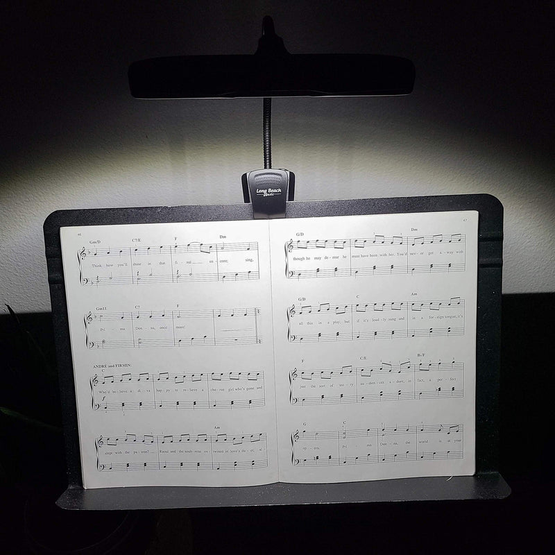 Rechargeable Clip-on Music Stand Orchestra Light- 10 Bright LEDs- Includes USB Cord, Wall Plug, and Carrying Bag- Also for Reading, DJs, Artists, Crafting