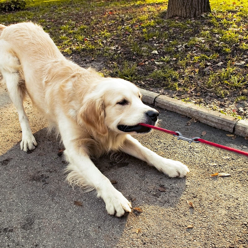 12 Pieces Double Ended Bolt Snaps Hook Zinc Alloy Double Trigger Clips Home Pet Accessory for Linking Dog Leash Collar Leash Key Chain Horse Tack Pet Sling Feed Buckets (3.5 Inch) 3.5 Inch