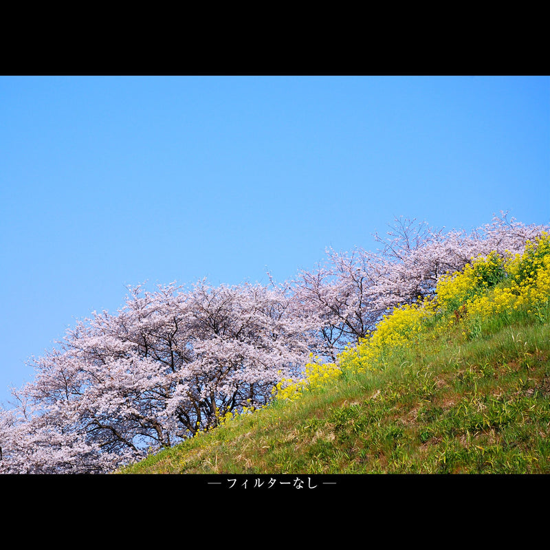 Marumi DHG 43mm Super Circular Polarising Filter DHG Super Circular PL Filter 43mm