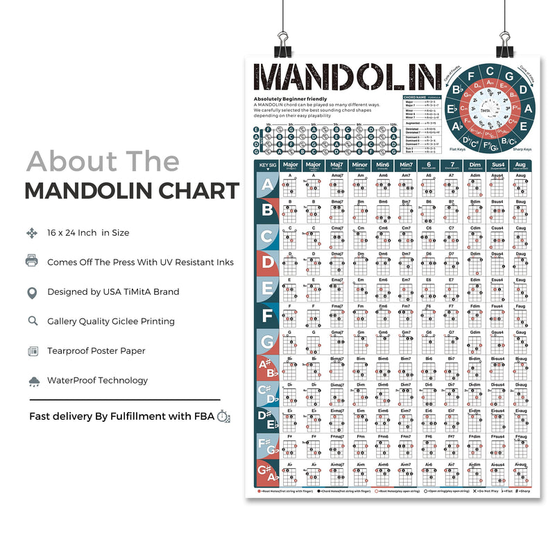 Mandolin Chord Chart Laminated Popular Chords, Mandolin Fretboard Notes and Circle of Fifths, Useful for Mandolin Beginners Adult or Kid, Large Mandolin Chord Poster Printed Waterproof Paper 16x24inch/40x60cm