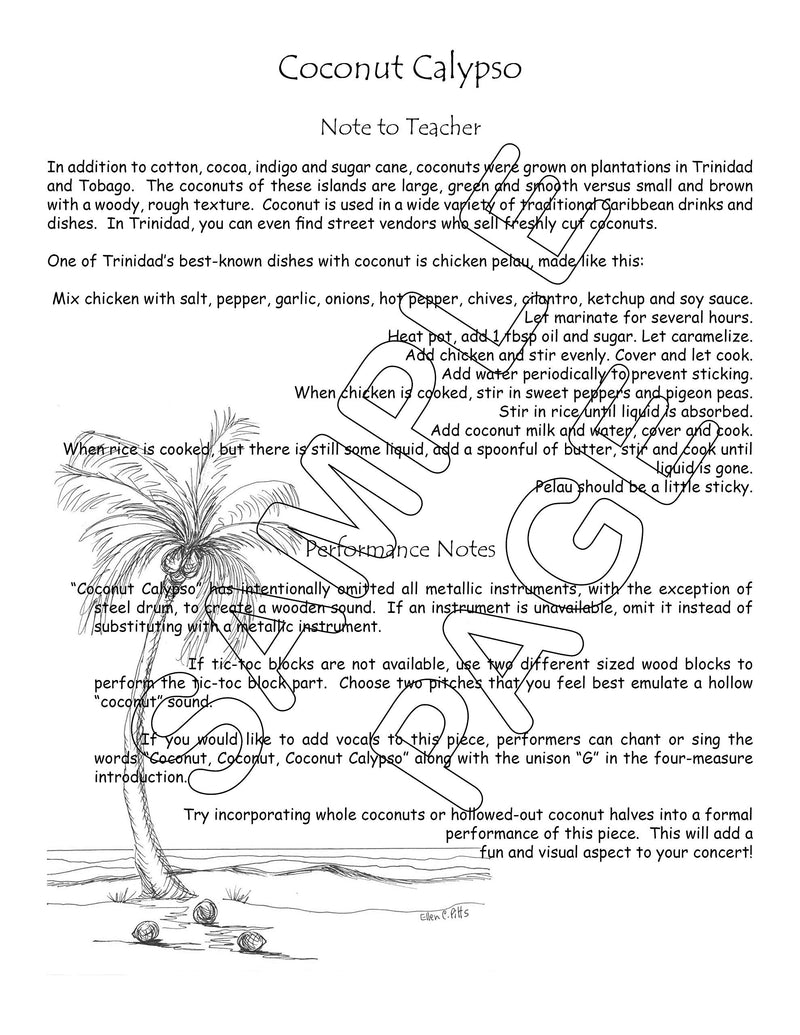 [AUSTRALIA] - Panyard Trinidad's Musical Journey for Jumbie Jam - Teacher's Guide Volume 1 