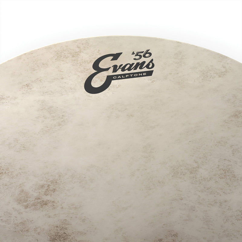 Evans Calftone Tom Batter Drumhead, 8 Inch 8-inch