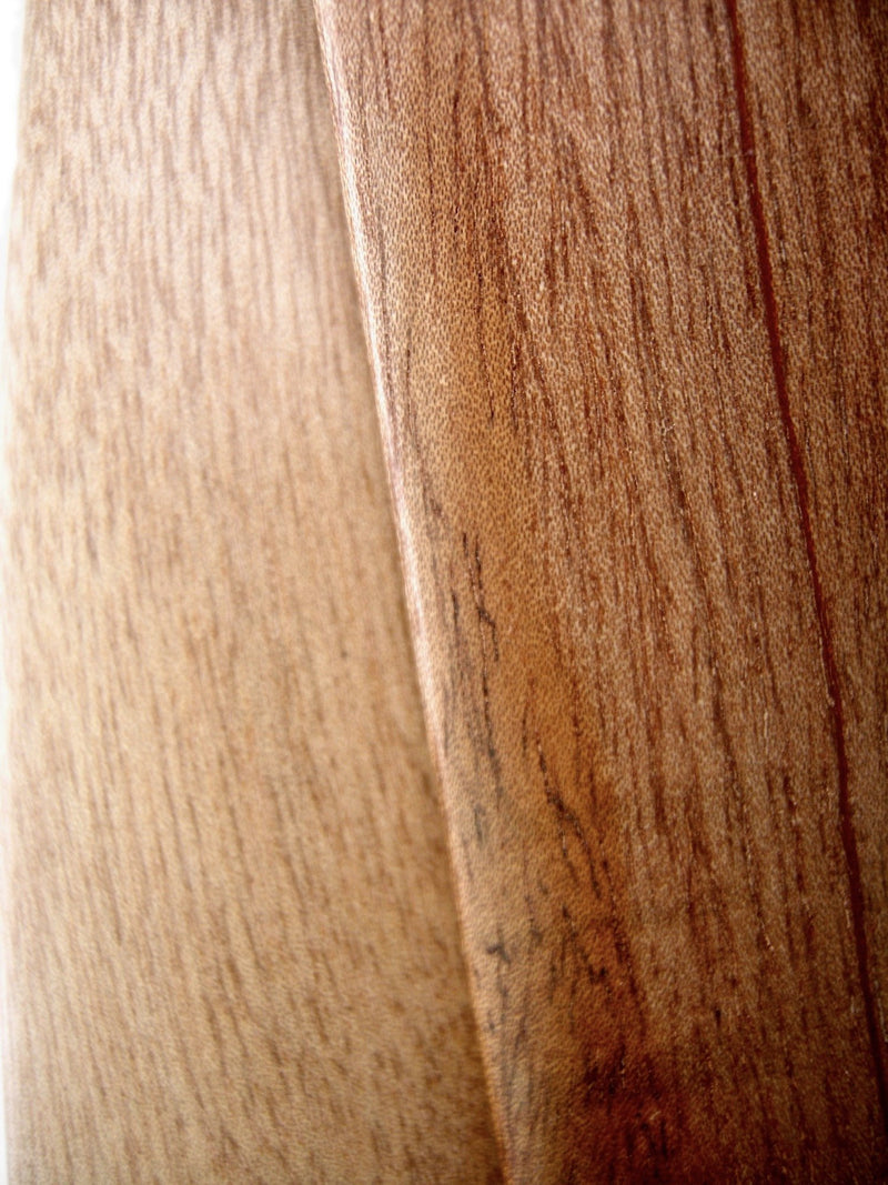 Pea Patch Minstrel-style Tunwood (aka Indian Cedar) Bones, Wide