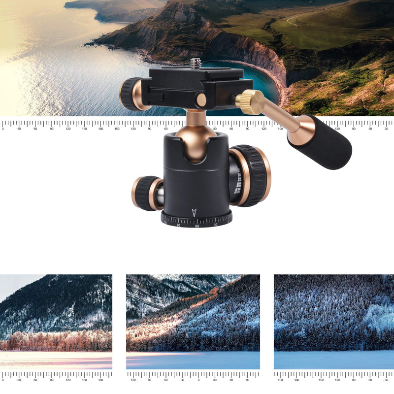 Bestshoot Tripod Head, Flexi-Tilt Universal Ball Head with Quick Release Plate, 1/4 Screw for DSLR Camera, Video Camcorder, Cellphone/Pad, Mirrorless Cameras, Ring Light, Selfie