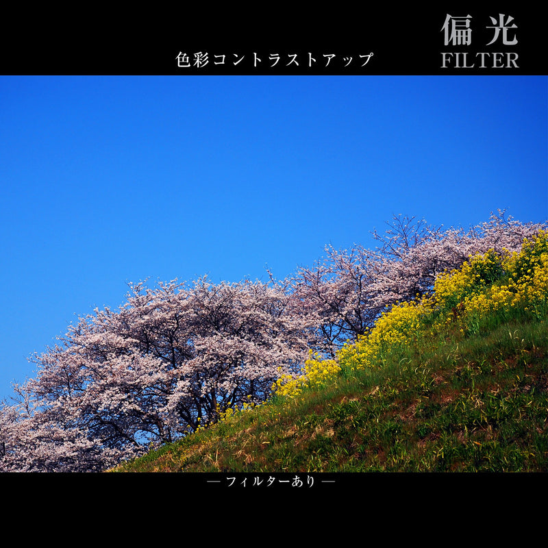 Marumi DHG 43mm Super Circular Polarising Filter DHG Super Circular PL Filter 43mm