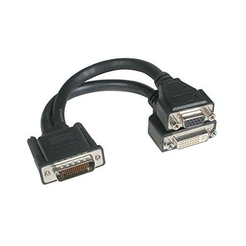 C2G 38066 One LFH-59 (DMS-59) Male to One DVI-I Female and One VGA Female Cable, Black (9 Inch) Male to DVI and VGA Cable