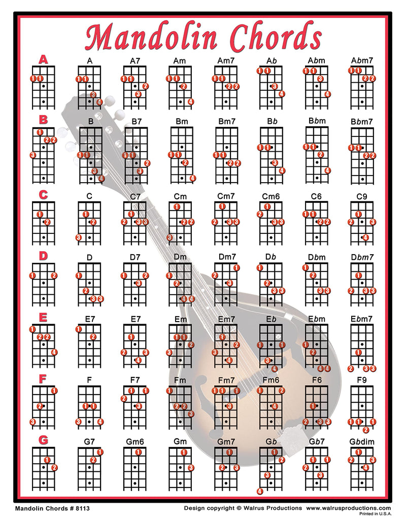 Mandolin Chords Laminated Chart