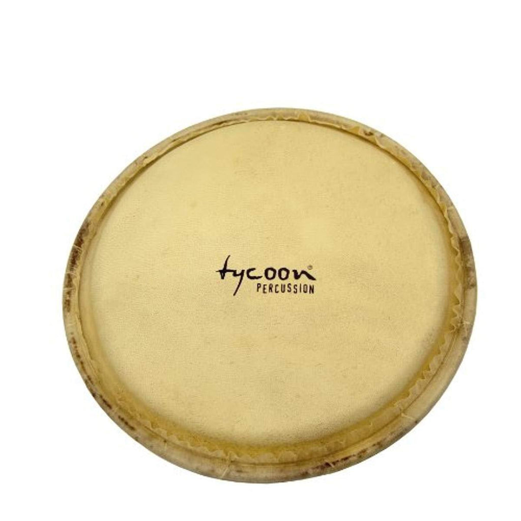 Tycoon Percussion Standard Replacement 10 Inch Requinto Head (Water Buffalo)