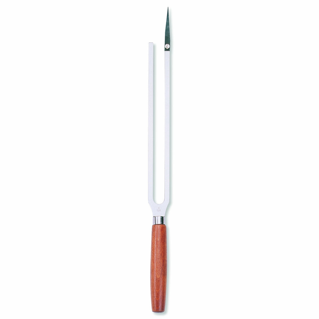 3B Scientific U10110 Recording Stylus Tuning Fork with Glass Plate, 280 Total Length, c 128Hz Frequency