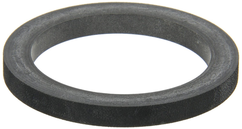 Banjo 200G EPDM Gasket, 2"
