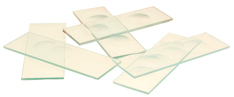 Eisco Labs Concavity Microscope Slides, Double Concavity, Pack of 50