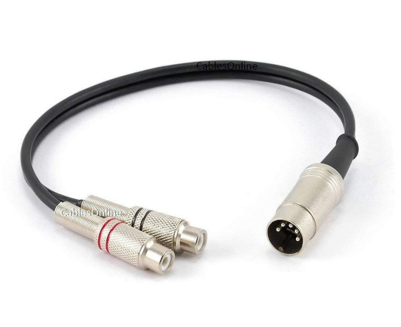 CablesOnline 1ft 5-Pin Din Male to 2-RCA Female Audio Cable for Bang & Olufsen, Naim, Quad.Stereo Systems (BO-401K)