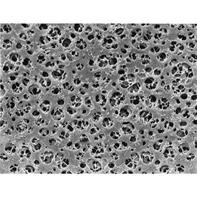 Sartorius 11107-47N CA Membrane Filter, 0.2 um, 47 mm (Pack of 100)