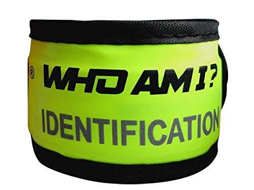 Who Am I-Child ID Bracelet Green