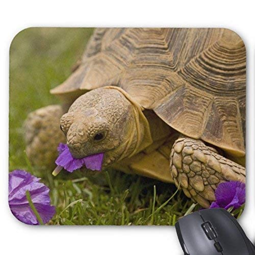 Custom Rectangle Mousepad Tortoise Sulcata Tortoise Mouse Pad