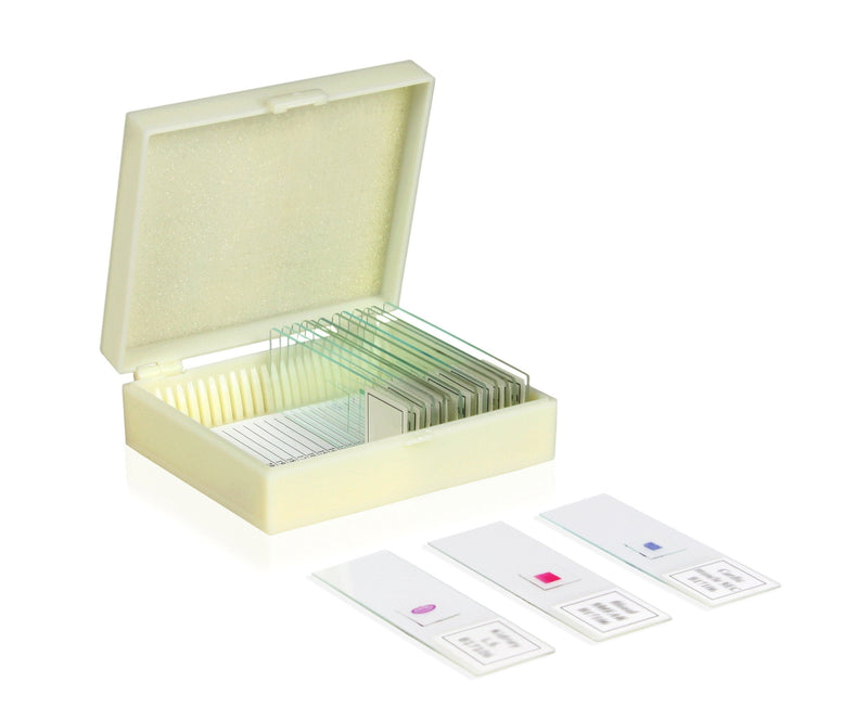 [AUSTRALIA] - Vision Scientific VSH112 Microscope Prepared Slide Set – Human Physiology (Set of 16) | Slides are Clearly Labeled for Easy Identification | Specimens are Cover Slip Sealed 