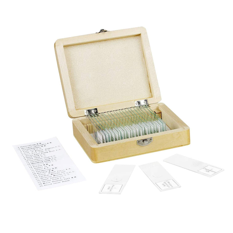 Vision Scientific VS25 Piece Slide Set, 25 Prepared Glass Microscope Slides, General Biological/Scientific Application, Shatterproof Box with Interior Padding - Free Shipping