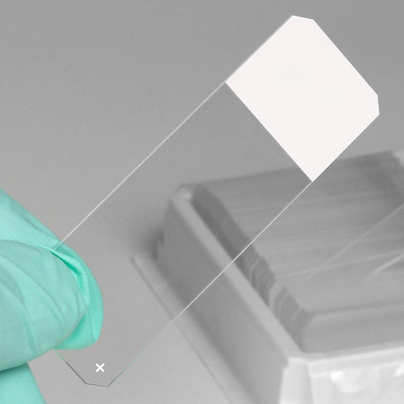 Globe Scientific (1354W-72) Microscope Slides, Diamond White Glass, 25 x 75mm, Charged, 45° Beveled Edges, Safety Corners, White Frosted (Pack of 72),1186N60BX