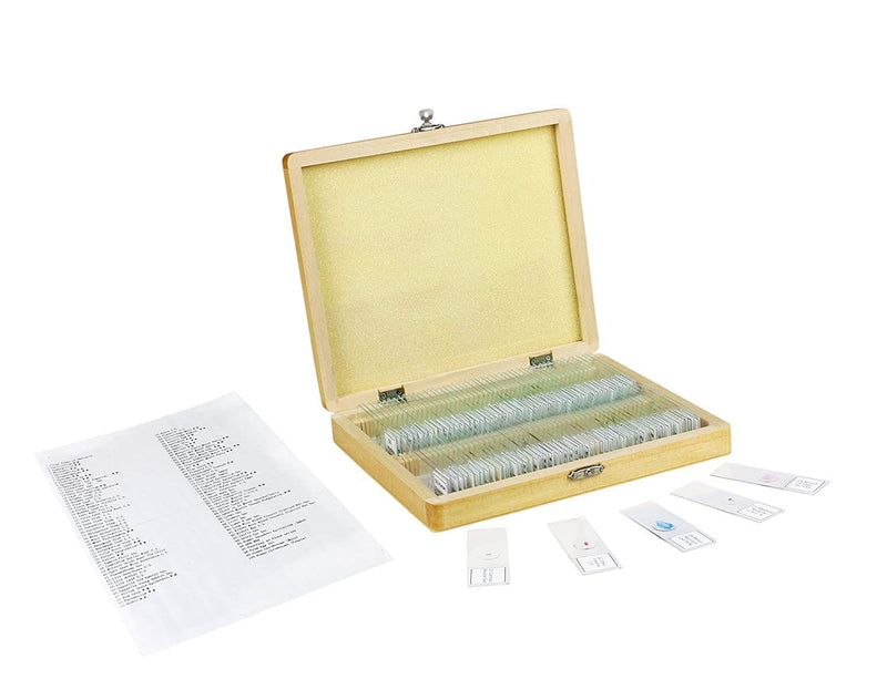 Vision Scientific VS100 100 Piece Slide Set, 100 Prepared Glass Microscope Slides, General Biological/Scientific Application, Shatterproof Box with Interior Padding