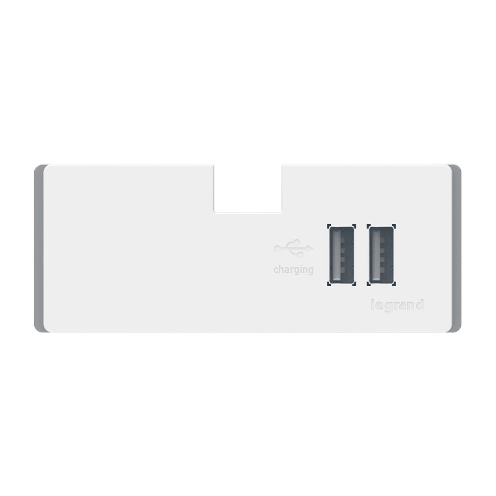 ADORNE 3.1 AMP USB CHARGING MODULE /WM USB Outlet White