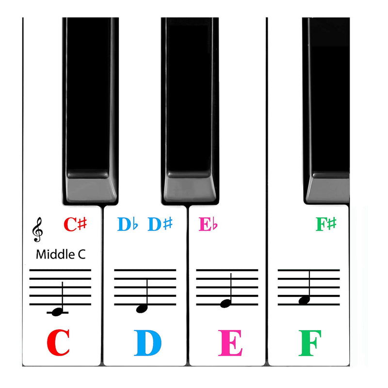 QMG Piano Stickers for 61-Key Keyboard, Bright Colorful Stickers, Perfect Visual Tool for Kids and Beginner Learning Piano, Transparent and Removable, Leaves No Residue, Made in USA