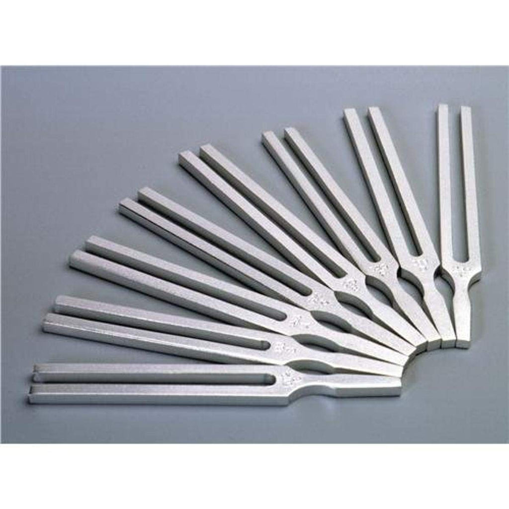 United Scientific Supplies TFK100 Tuning Fork