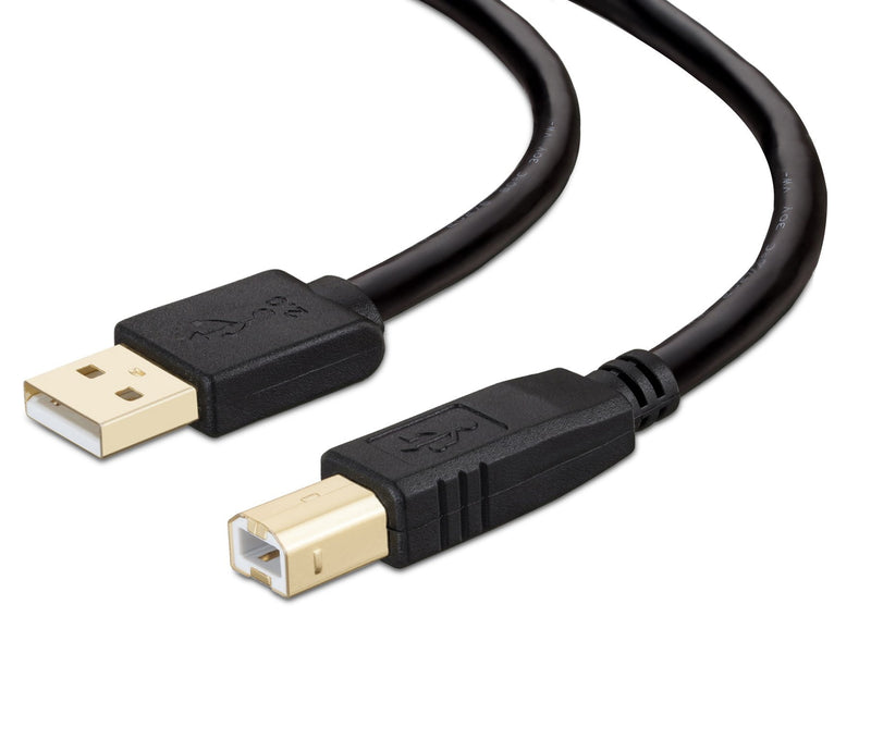 Printer Cable 10 feet, NC XQIN USB Printer Cable Cord Type A-Male to B-Male Printer USB Cable for Printer/Scanner-Gold-Plated 10ft