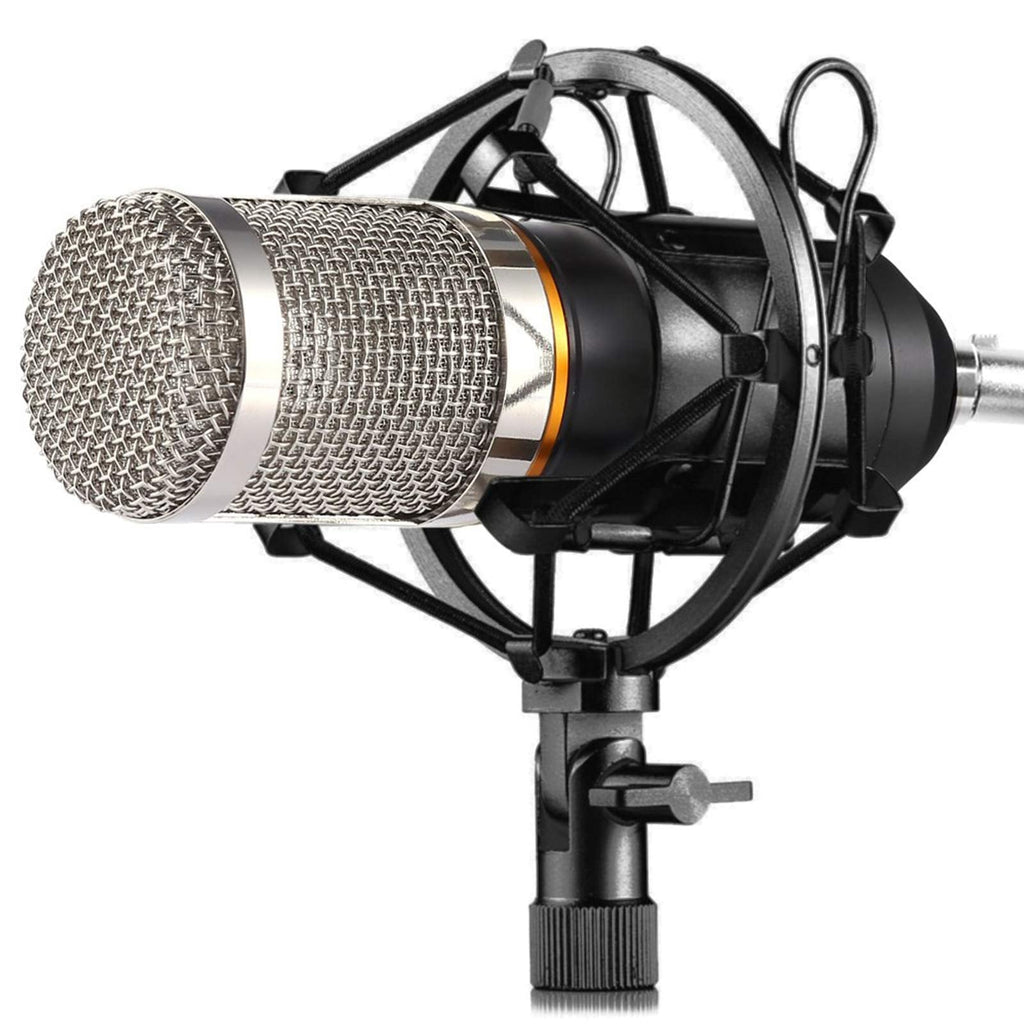 ZINGYOU BM-800 Condenser Microphone, Cardioid Studio Recording Microphone with Shock Mount, XLR Cable