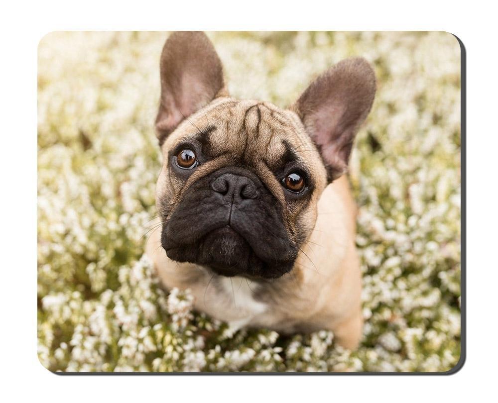 French Bulldog Animal Picture Game Office Mouse Pad (8.2x10.2inches)