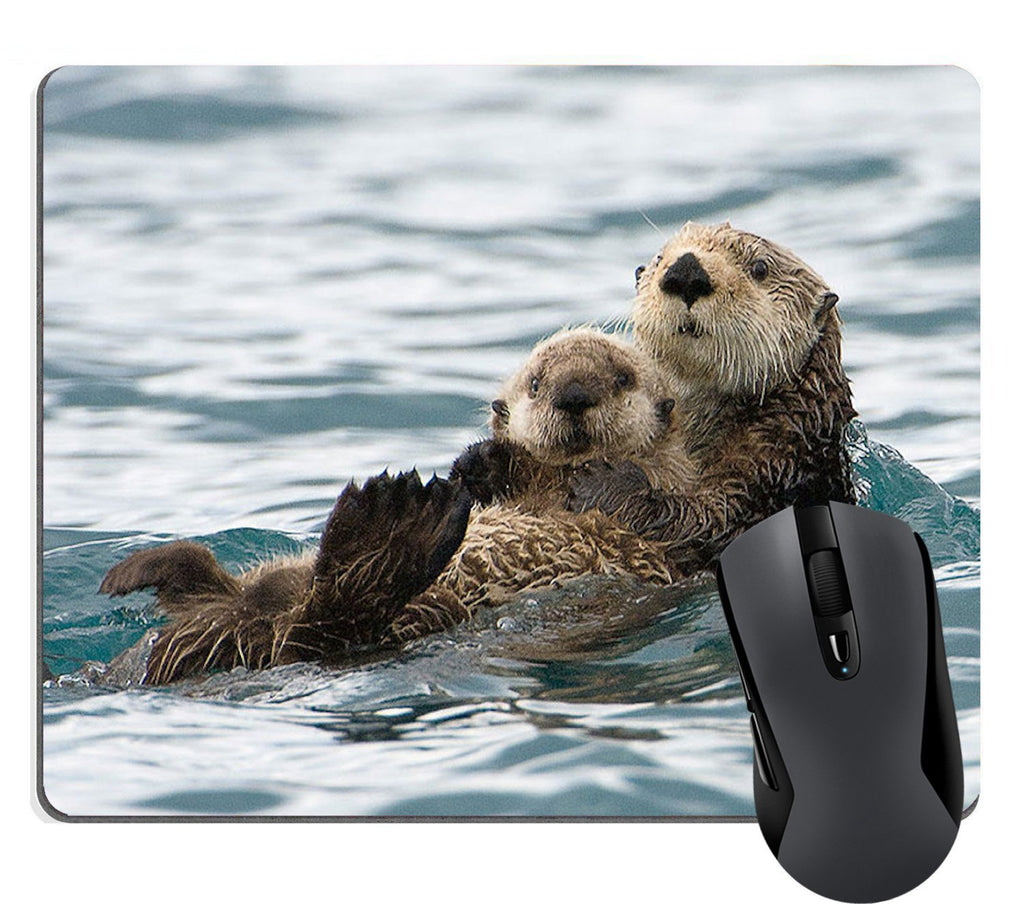 Wknoon Sea Otters Mouse Pad Nature Animal Playing Water Funny Mouse Pads