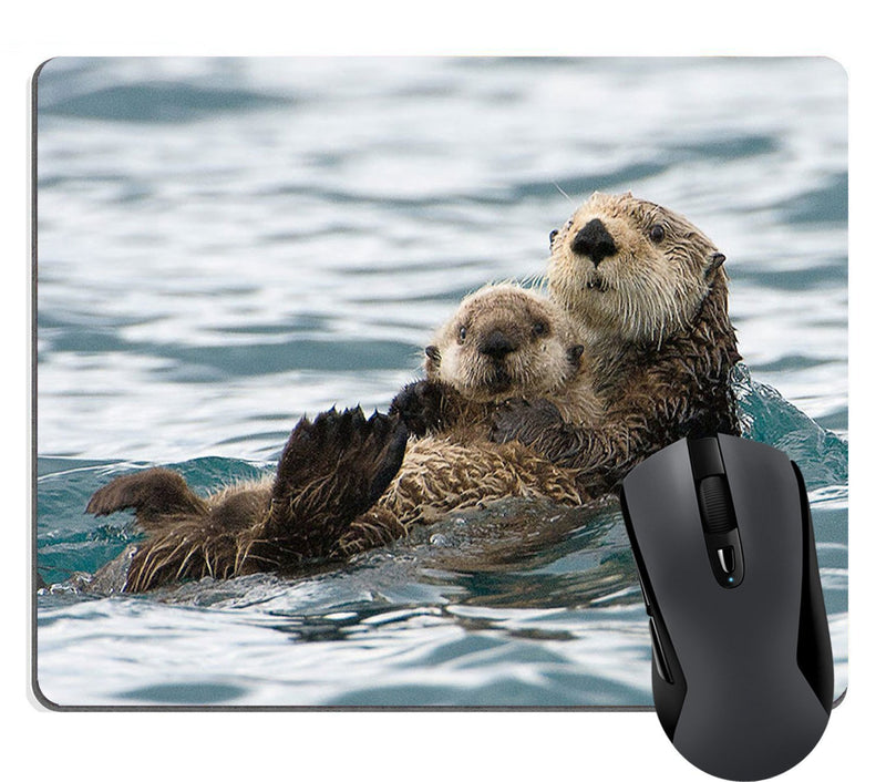 Wknoon Sea Otters Mouse Pad Nature Animal Playing Water Funny Mouse Pads