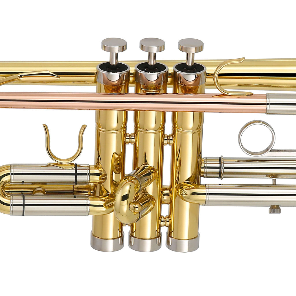 Kaizer Trumpet Trim Kit Fits All Kaizer Trumpets Stainless Steel PA-TRPNVTRM-KIT-1