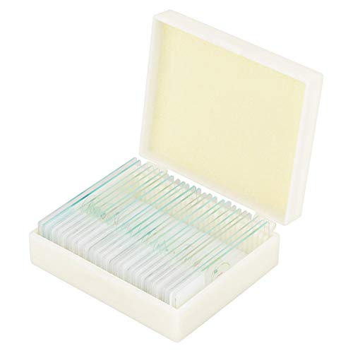 Prepared Microscope Slides 25pcs Biology Glass Lab Microscope Slides Specimens for Basic Biological Science Education with Includes Labels and Case