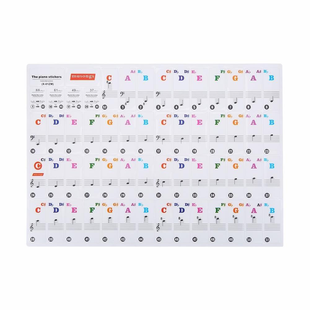Piano Stickers for Keys – Removable Piano Key Board Sticker for 61/88 Key Electronic Pianos (Colour) Colour